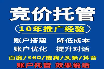 某电商平台的SEM优化案例分享